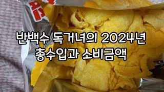 [브이로그#135] 40대 반백수생활 1인가구의 일년 총소득과 소비금액은?/2024년 한 해 마무리