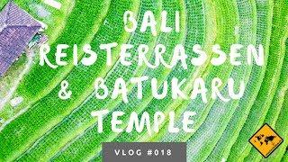 Die schönsten Bali Reisterrassen in Jatiluwih & Batukaru Temple - Unsere Bali Erfahrungen