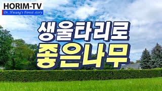 생울타리로 좋은 나무, 숲 전문 HORIM-TV