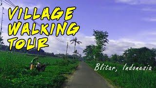 Village Walking Tour in the Morning - Blitar, Indonesia