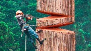 40 Minutes Of Satisfying Videos Of Workers Doing Their Job Perfectly | Best Moments