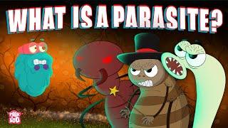 PARASITE | What Is A PARASITE? | Biology For Kids | The Dr Binocs Show | Peekaboo Kidz