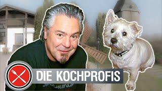 Wuff Wuff: Flauschiger Gast für die Kochprofis | Die Kochprofis - Einsatz am Herd