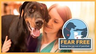 Fear Free: A Transformative Initiative for Veterinary Professionals