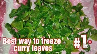 How to freeze curry leaves / Best way to freeze curry leaves