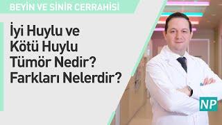 İyi Huylu ve Kötü Huylu Tümör Nedir? Farkları Nelerdir?