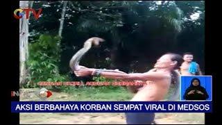 Viral di Sosmed, Aksi Pawang Ular yang Tewas Terkena Gigitan King Cobra - BIS 28/01