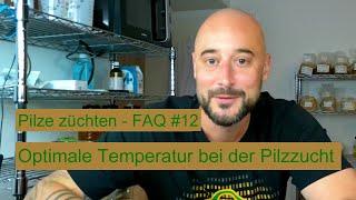 Pilze züchten - Welche Temperatur für die Pilzzucht? Pilzzucht FAQ #12