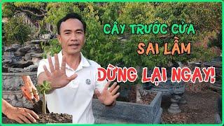 Tại Sao Tôi Không Trồng Cây Trước Cửa Nhà Nữa | Hùng Xanh