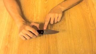 Spyderco Tenacious review | Knife reviews by Ice