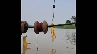 New system tarp hook fishing video  catfish #fish #fishing #trap #raaz_fishing #shorts