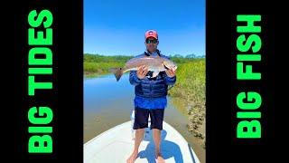 Flood Tide Redfish - Savannah Ga