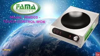 PIND03   TOUCH CONTROL WOK