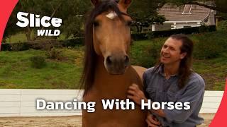 Unleashing Harmony: The Man Who Dances With Horses | SLICE WILD | FULL DOC