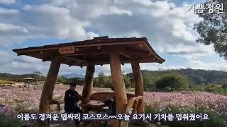 철원 고석정 꽃밭 | 깡통열차타고 구경하기 #철원여행 #고석정 #깡통열차