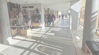 Exploring Pollok Park & The Burrell Collection | Photo Journey Through Glasgow