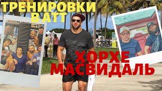 Дмитрий Смоляков - Масвидаль, Левин и почему в российском ММА не зарабатывают | ММАТИКА