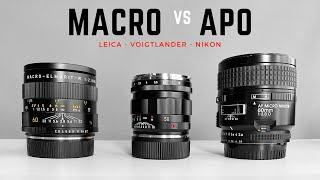  APO vs MACRO - Which Lens is Better?  |  Leica, Nikon, Voigtlander 50 APO