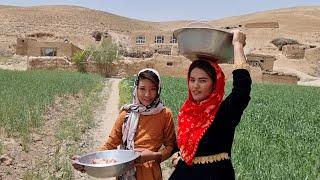 Baking Bread in old tanor in mountains village afghanistan: Village life Afghanistan