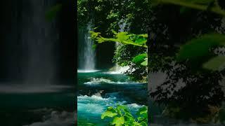 Relaxing music #meditation music #calming music