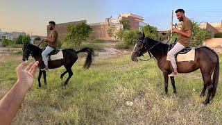 Aj Turab Ny Horse Riding Ki But Dr Gea