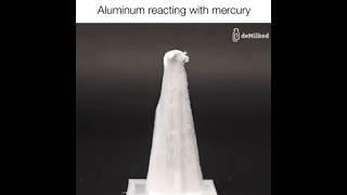 "Aluminum + Mercury: A Fascinating Reaction!" #science #chemistry #class  #viralvideo #viralshorts