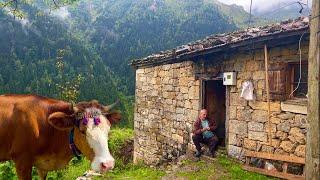 Life in a remote Turkish village | A terrible thunderstorm hit while the cows were grazing outside