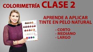 Curso de COLORIMETRIA 2..como aplicar el tinte y que no quede manchado+