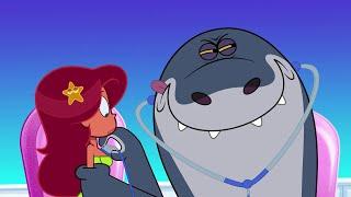 Zig & Sharko | Doctor Sharko! (Season 4) BEST CARTOON COLLECTION | New Episodes in HD