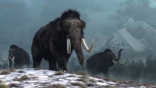 Climate change not humans was reason woolly mammoths went extinct