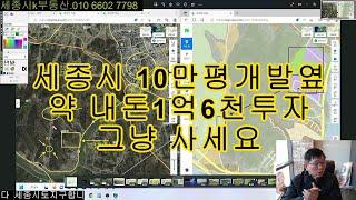 세종시토지 10만평개발옆땅 금암리토지 내돈 1억6천만원투자 최고 그냥사세요 마지말 한개있음