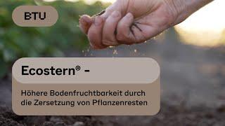 Ecostern® - Höhere Bodenfruchtbarkeit durch die Zersetzung von Pflanzenresten