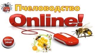 СМОТРИ!!! Первая ОНЛАЙН Трансляция по Пчеловодству от канала Белорусское Пчеловодство Будни БРАТЬЕВ