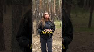 Потеря способностей и приобретение невежества | Ведьма Елен | Эзотерический центр АЛАТЫРЬ