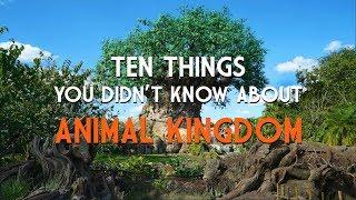 Ten Things you didn't know about Disney's Animal Kingdom