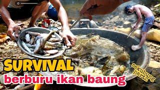 Survival - berburu ikan BAUNG || Ending masak nya bikin ngakak part2