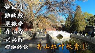 【4K】香山红叶秋赏①，静宜园，勤政殿，翠微亭，香山寺，买卖街，楞伽秒觉门。