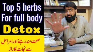 Top 5 herbs for full body detox | what is detoxification | how to detoxify my body easily |