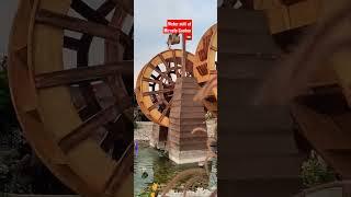 WATER MILL AT MIRACLE GARDEN #youtubeshorts #shorts #watermill #miraclegardendubai