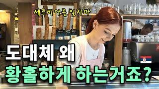 "발칸 최후의 로망" 세르비아에서 일어난 꿈같은 일들 & 역사이야기 [동유럽20]