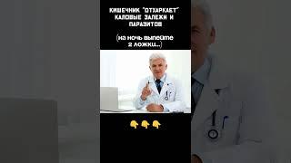 Кишечник отхаркает каловые залежи и паразитов
