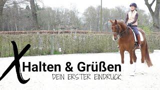 So kommt ihr zum Halten! | Ganze Parade | ClipMyHorse.TV Academy|