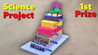 Soil Horizon - Inspire award science project 2024 | Science project working model