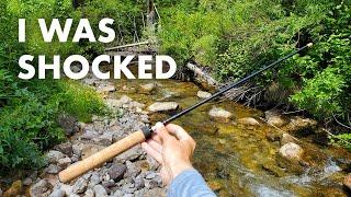 This Cheap ($25!) Tenkara Rod Is Surprisingly Good! (Tenkara Fly Fishing)