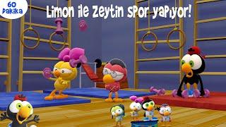 60 DAKİKA ÇİZGİ FİLM ‍️‍️#52 - Limon ile Zeytin Spor Yapıyor!  | TRT Çocuk - Disney Channel