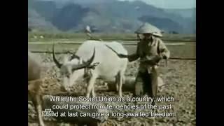 Man at War : Story of Soviet Military Advisor in Vietnam - Voennoe Delo