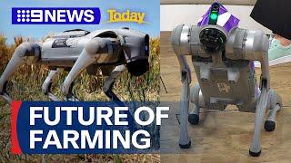 Is robotics the future of farming? | 9 News Australia