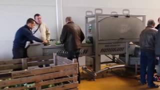 Broccoli floretting demonstration - Floreto | Sweere