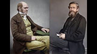 Alfred Russel Wallace, Charles Darwin, and the Discovery of Evolution by Natural Selection.