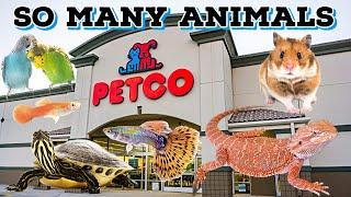 ALL The ANIMALS at PETCO!!